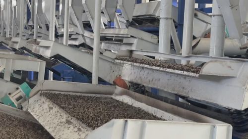 塔城地區(qū)生物科技產(chǎn)業(yè)助力外貿(mào)迎來(lái)廣闊發(fā)展機(jī)遇