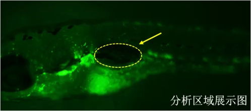 杭州環特生物科技股份公司最新動態與發展概覽